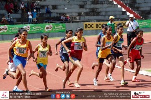 12140101_10154304811874251_6741711694576619999_o 